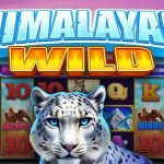 Slot Himalayan Wild: Ketika Alam Liarnya Bertemu Keberuntungan