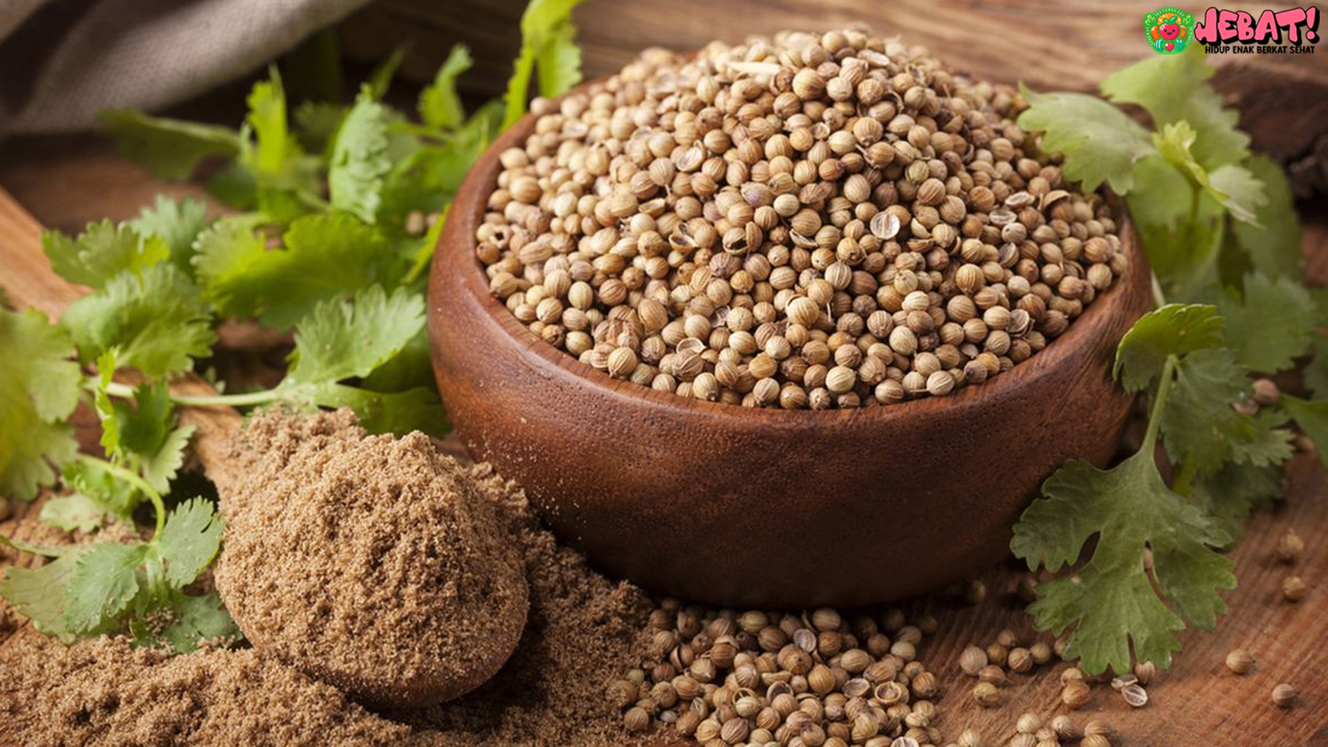 Biji Ketumbar: Bumbu Alami Efektif Mengendalikan Gula Darah