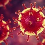 MERS-CoV: Virus Pernapasan Mematikan yang Masih Mengintai