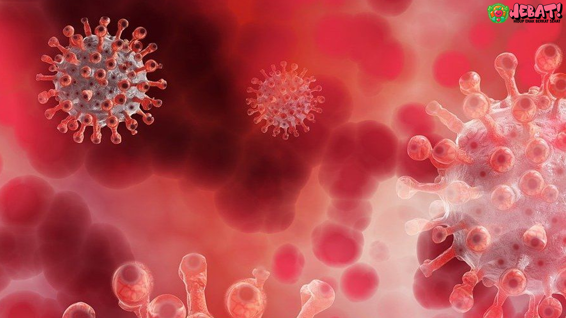 Kenali Berbagai Tipe Virus Hanta Penyebab HFRS di Indonesia