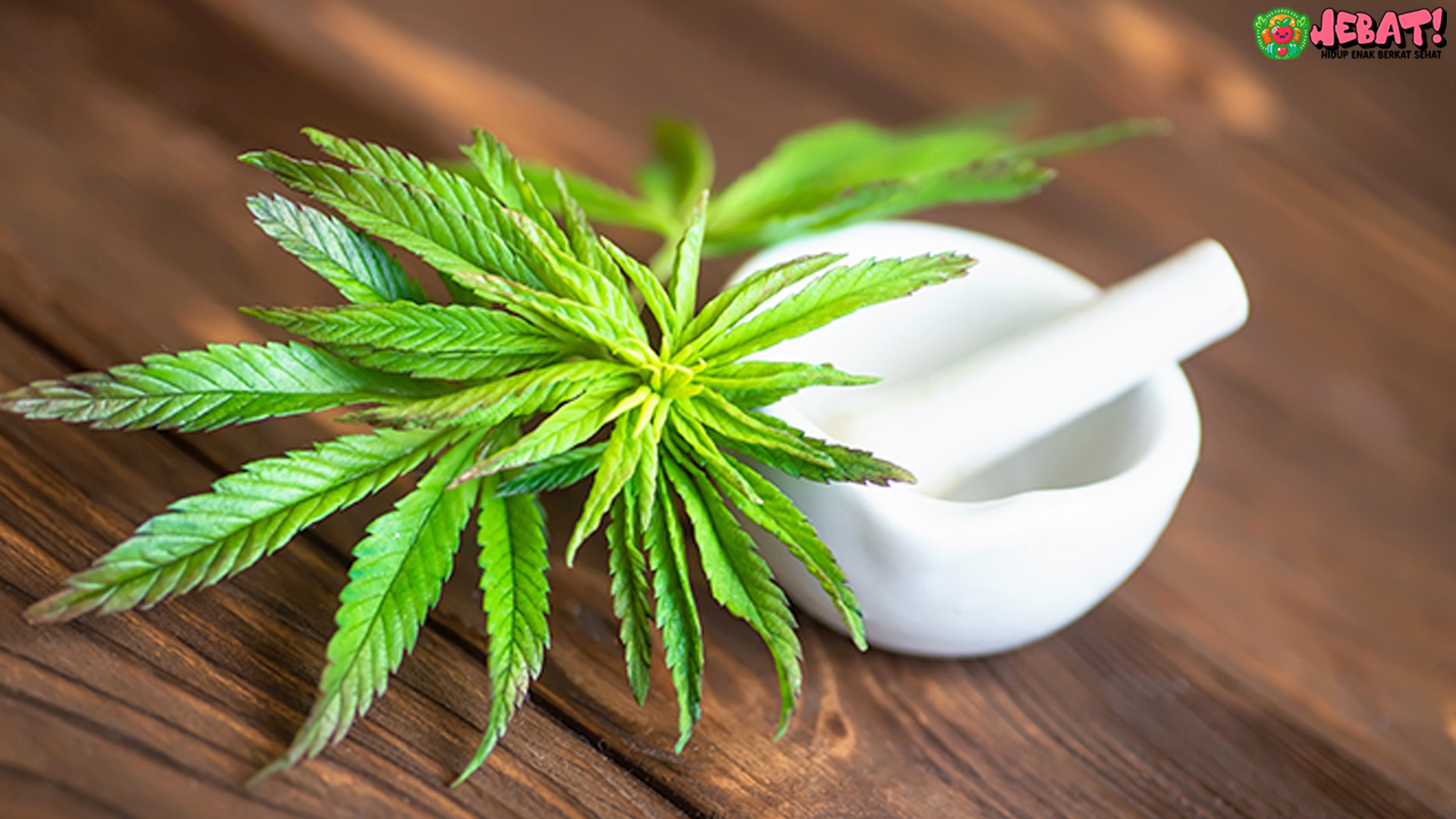 Penggunaan Ganja Kronis dan Risiko Serangan Jantung Terkait