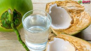 Solusi Segar: 3 Fakta Air Kelapa untuk Tekanan Darah Stabil