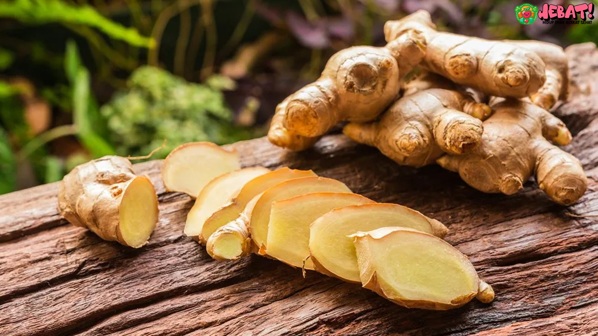 Obat Alami Asam Urat dan Kolesterol dengan 4 Ramuan Efektif