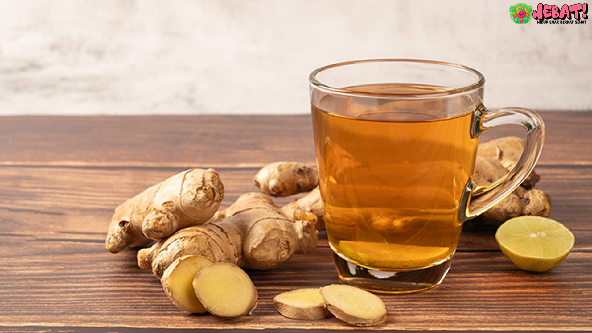 Obat Alami Asam Urat dan Kolesterol dengan 4 Ramuan Efektif