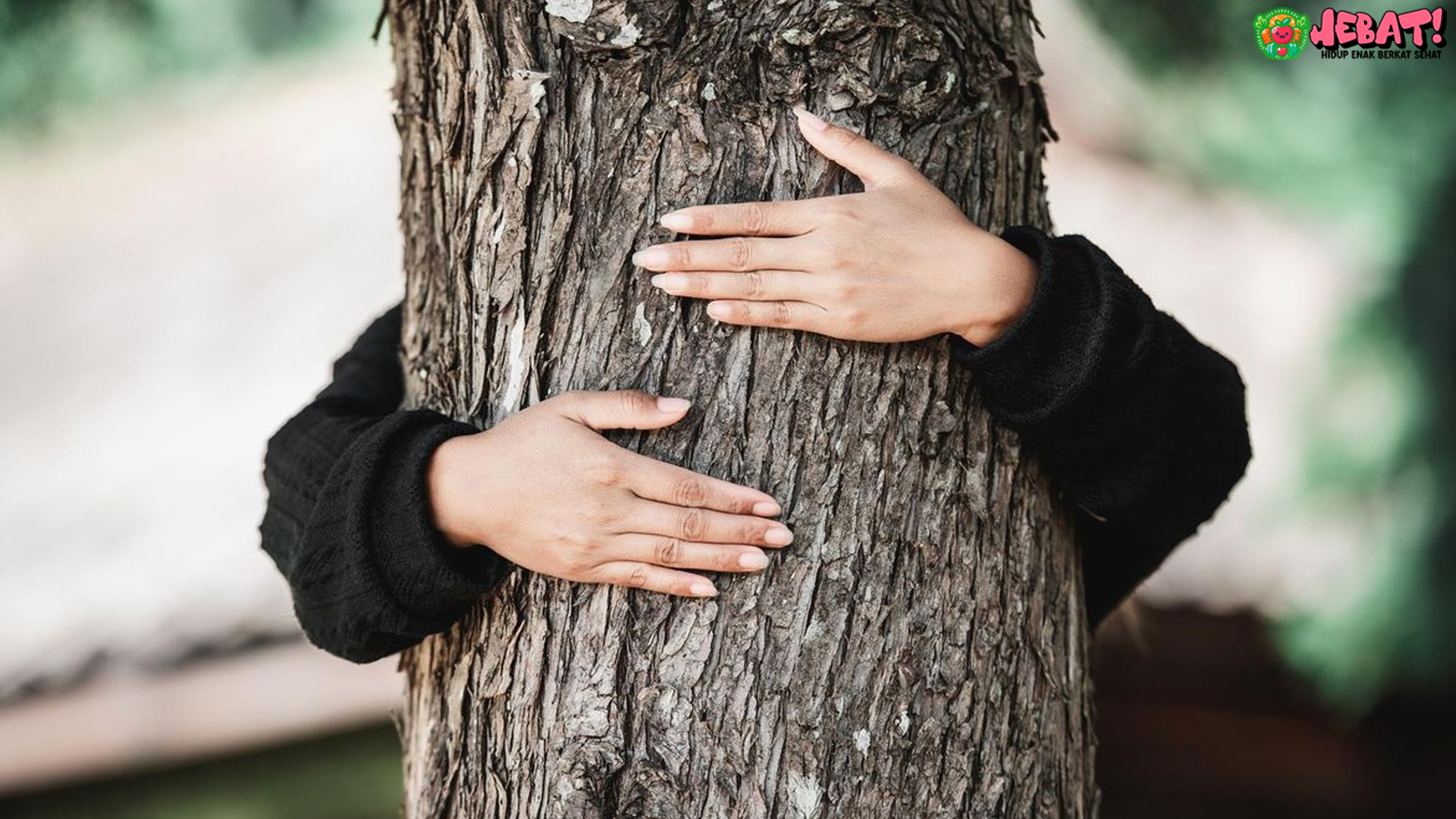 Efek Forest Bathing pada Stres dan 5 Manfaat untuk Imunitas