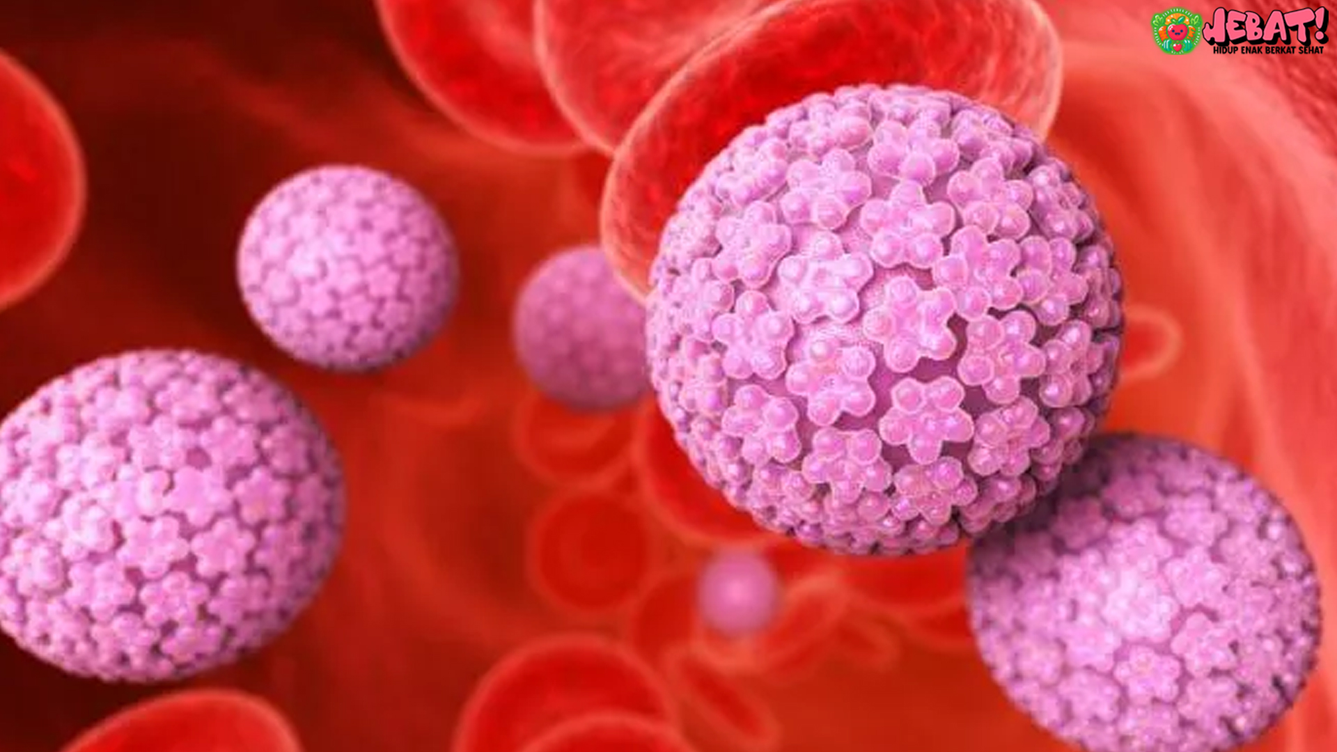 Informasi 4 Hal Penting Tentang Layanan Kanker dan Infeksi HPV