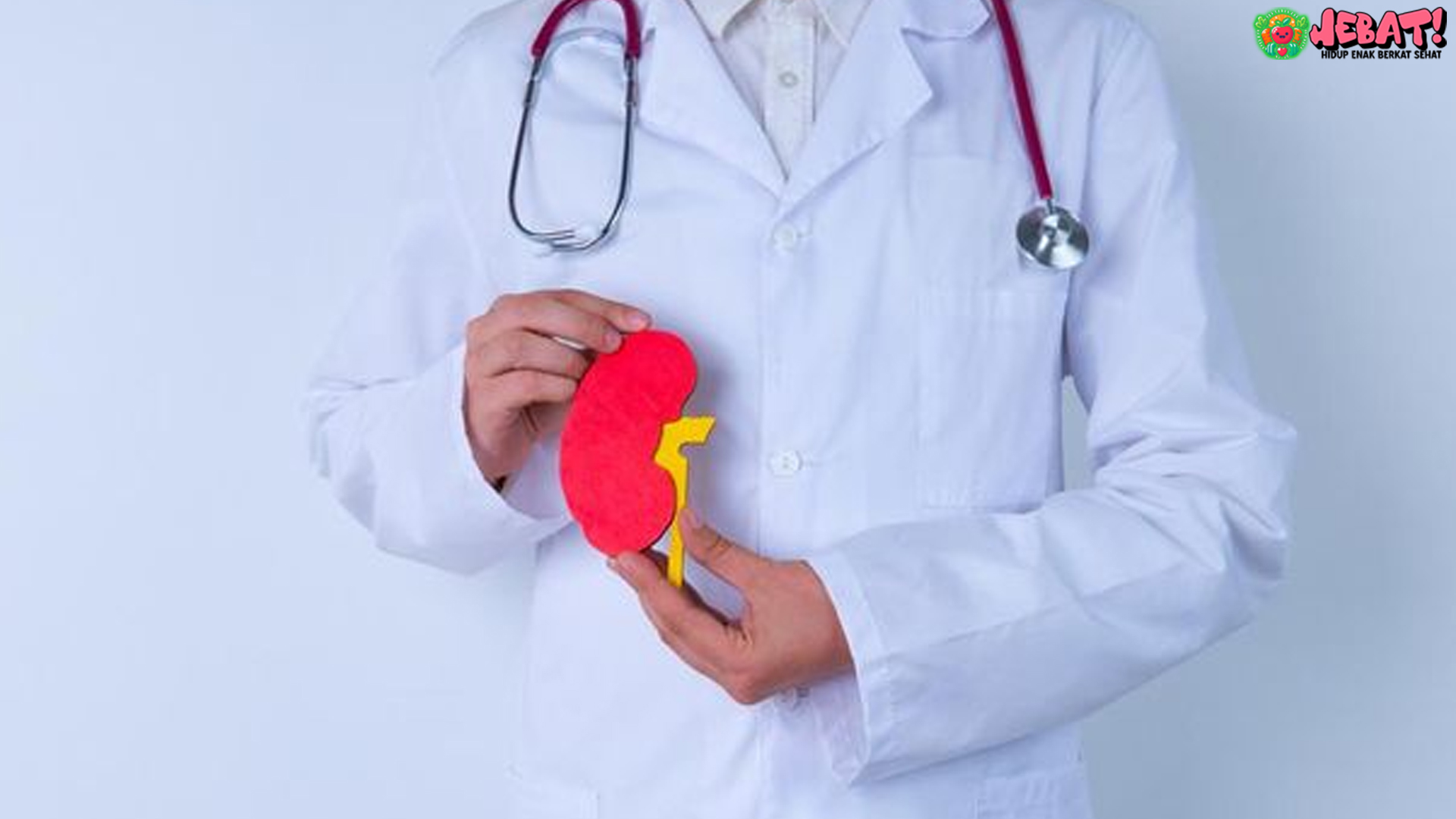 Ginjal Sehat di Rumah: 4 Cara Alami yang Mudah Dilakukan
