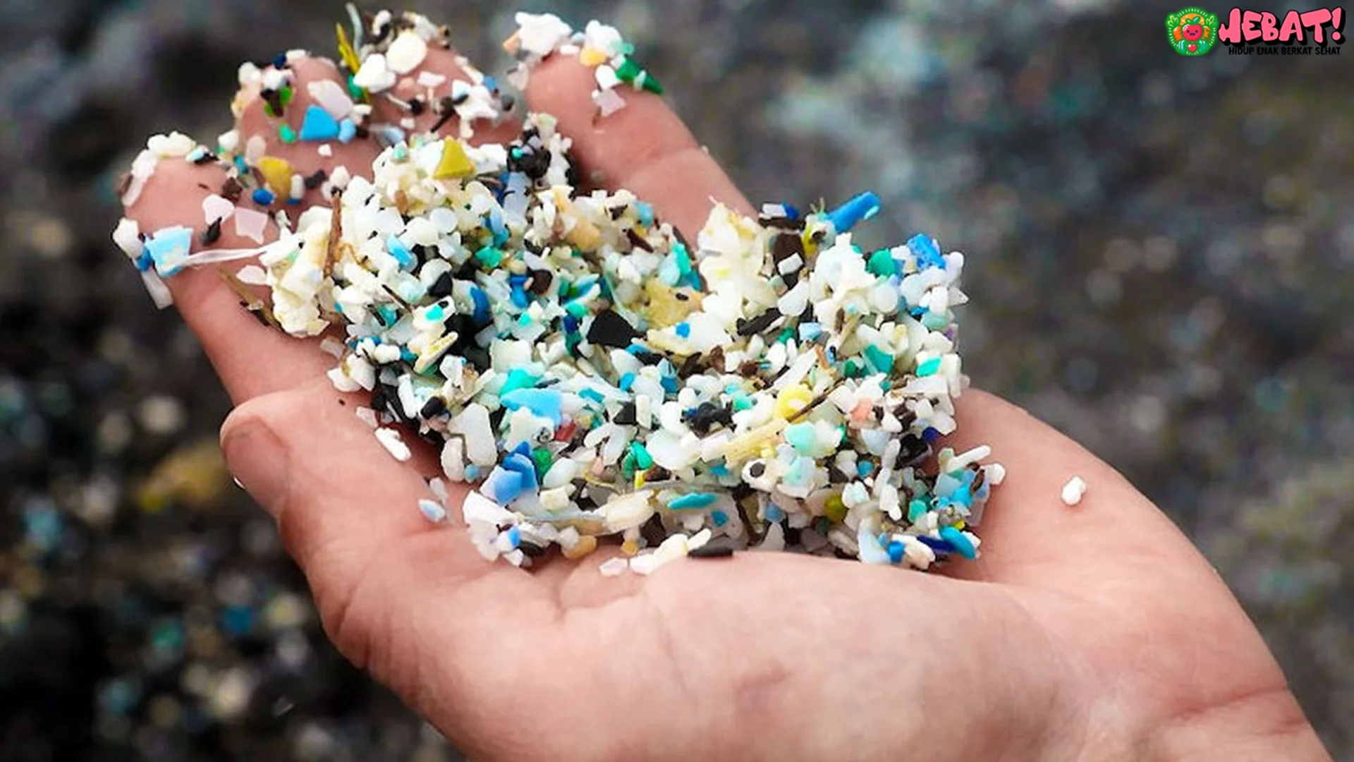 Dari 5 Studi Terbaru, Mikroplastik Bikin Risiko Penyakit Jantung Naik