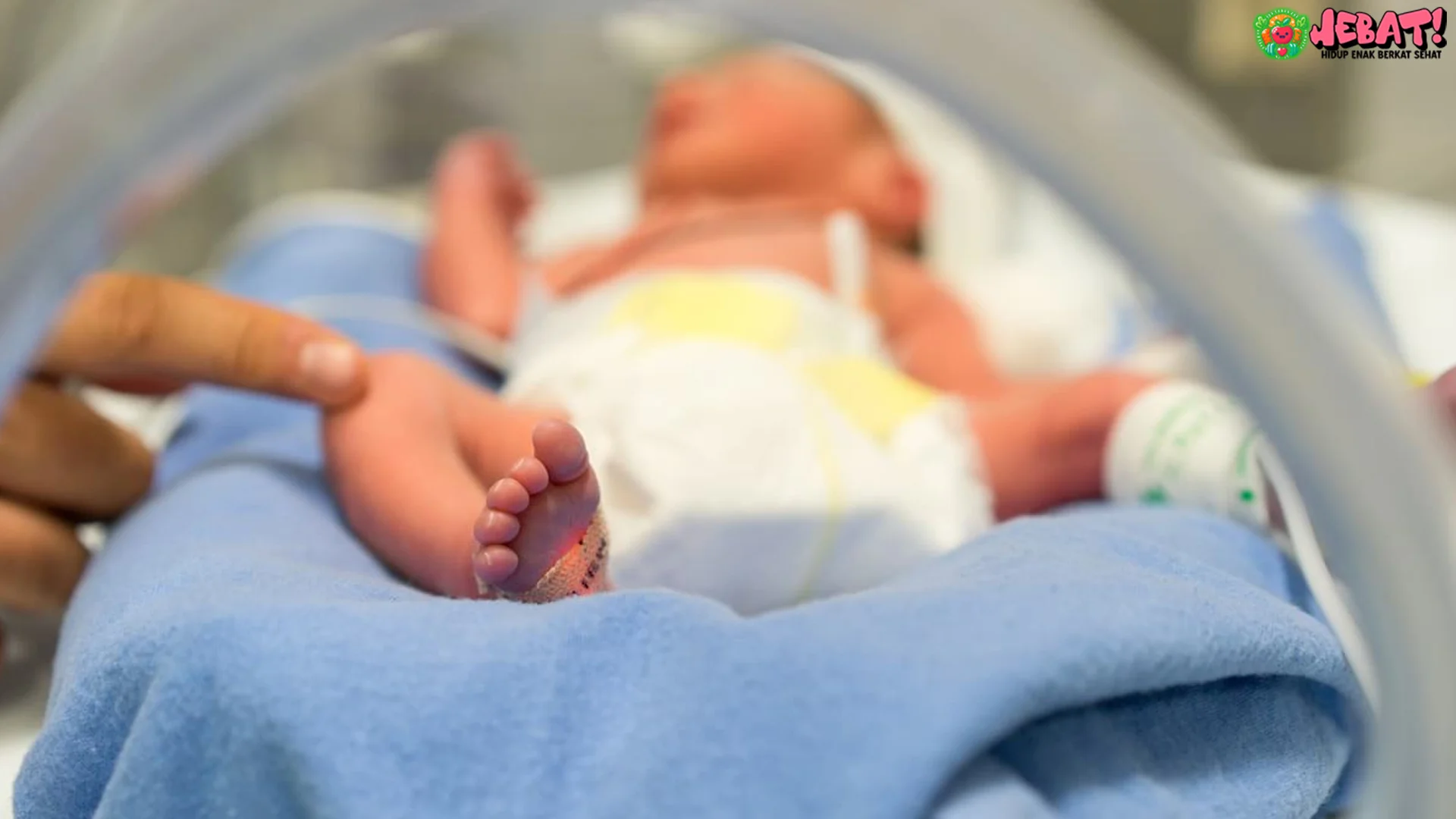 Infeksi Pernapasan dan 5 Tantangan Organ Paru di Bayi Prematu