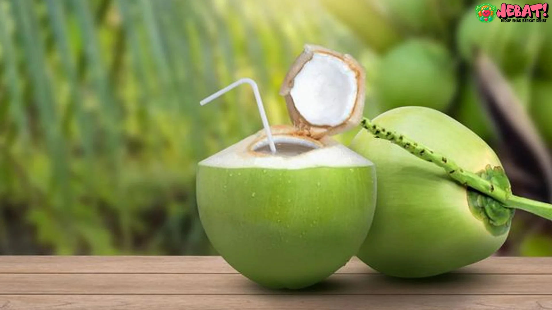 Air Kelapa dan 5 Rahasia Manfaatnya Kalau Minum di Waktu Ini
