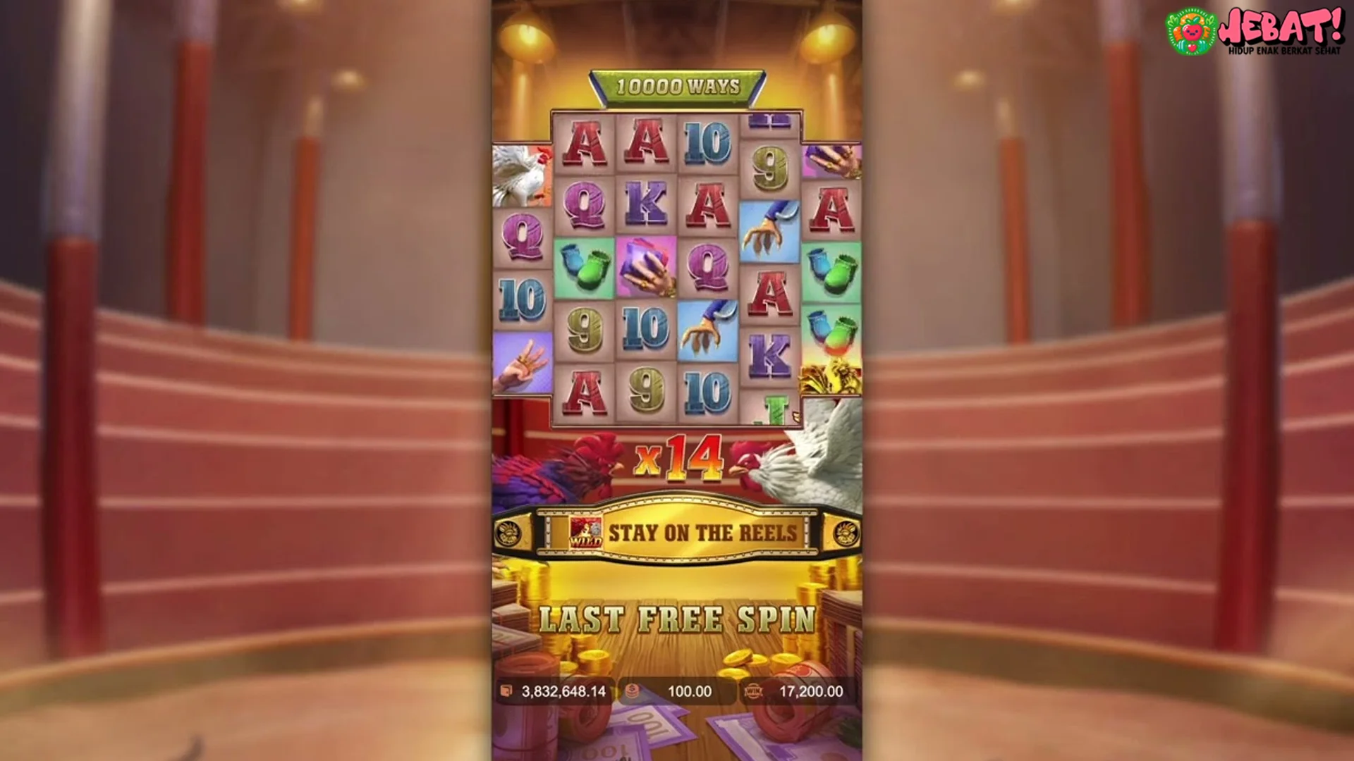 Ngulik Rooster Rumble Dalam 5 Highlight Kekinian Sekali Bro