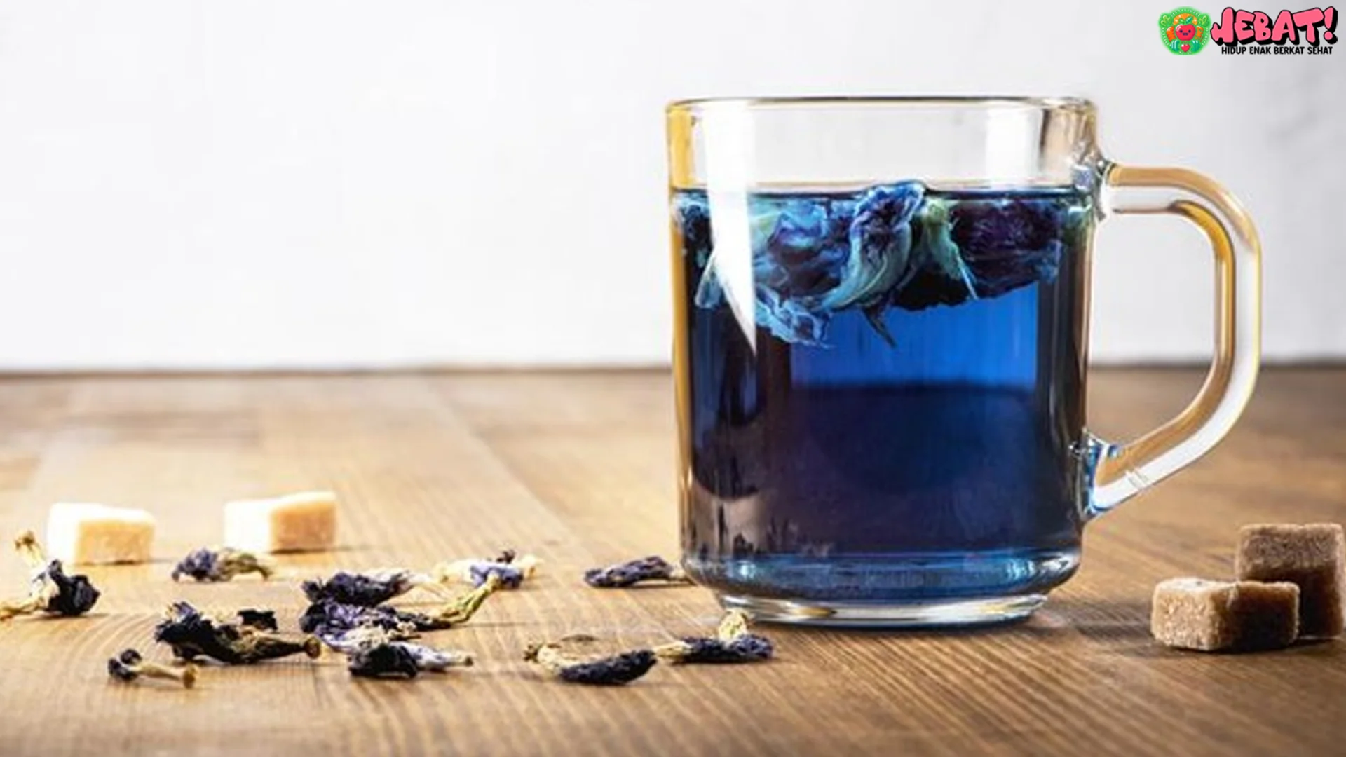 Menikmati Teh Bunga Telang dengan 5 Waktu Minum yang Paling Efektif