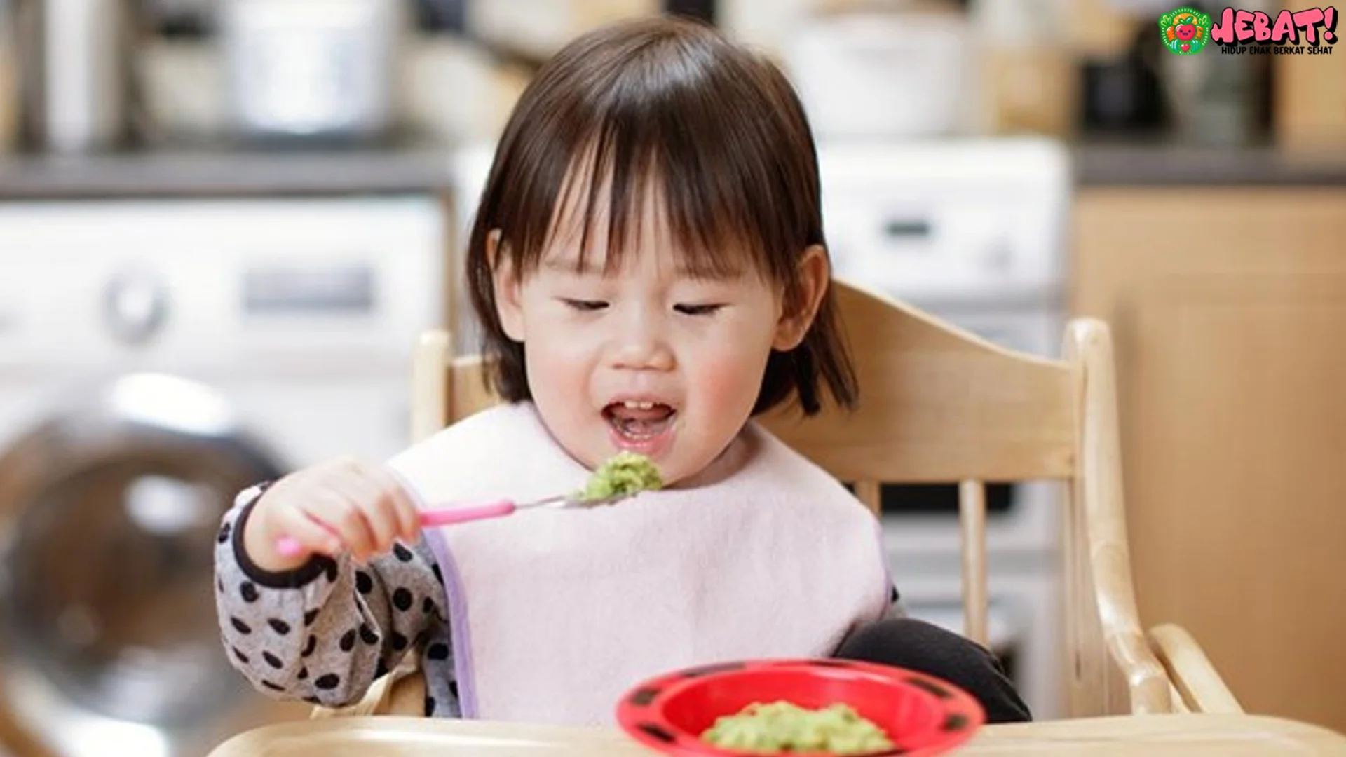 Pentingnya 5 Kombinasi Nutrien Makro Dan Mikro Dalam Menu Balita
