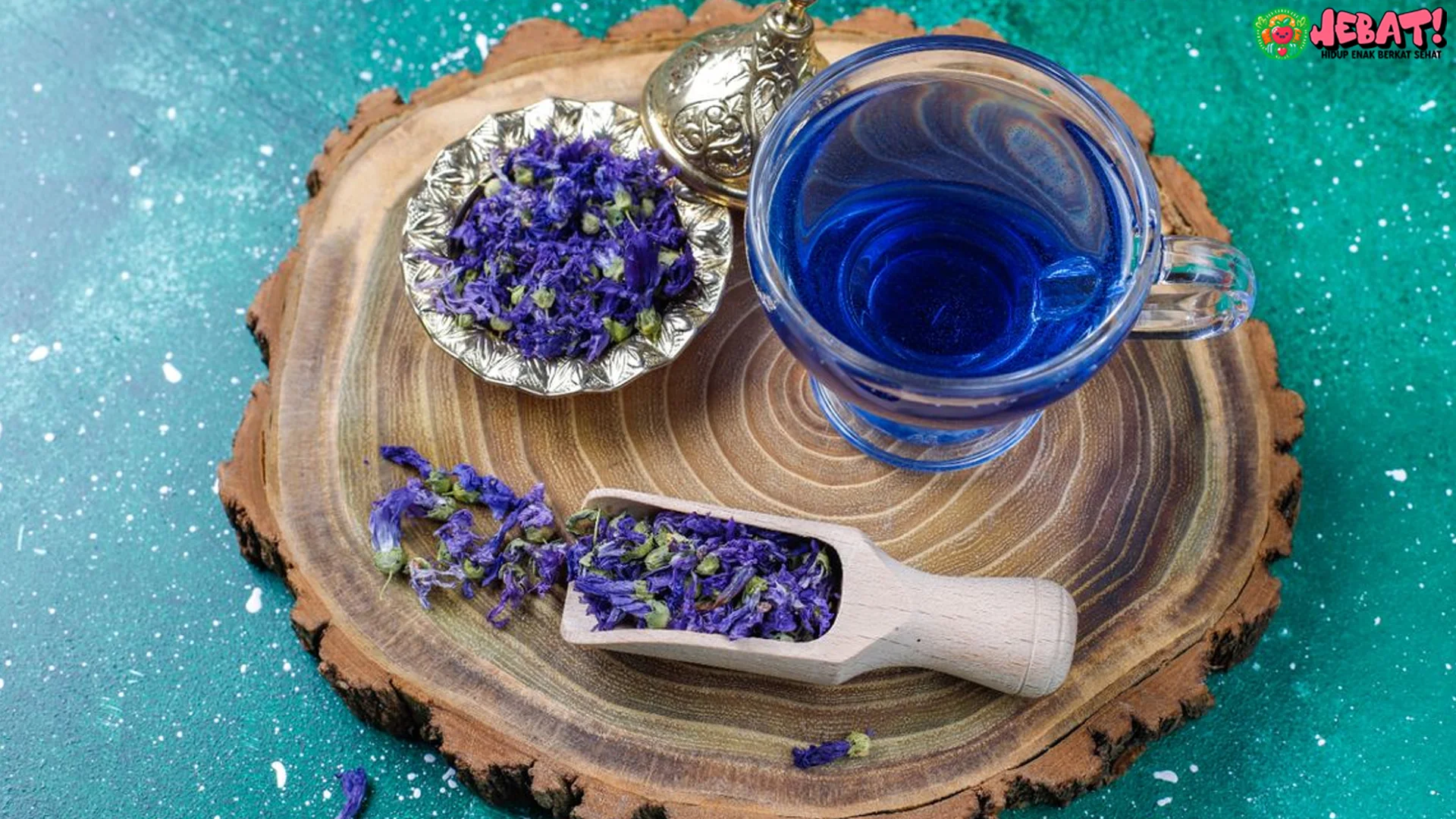 Menikmati Teh Bunga Telang dengan 5 Waktu Minum yang Paling Efektif