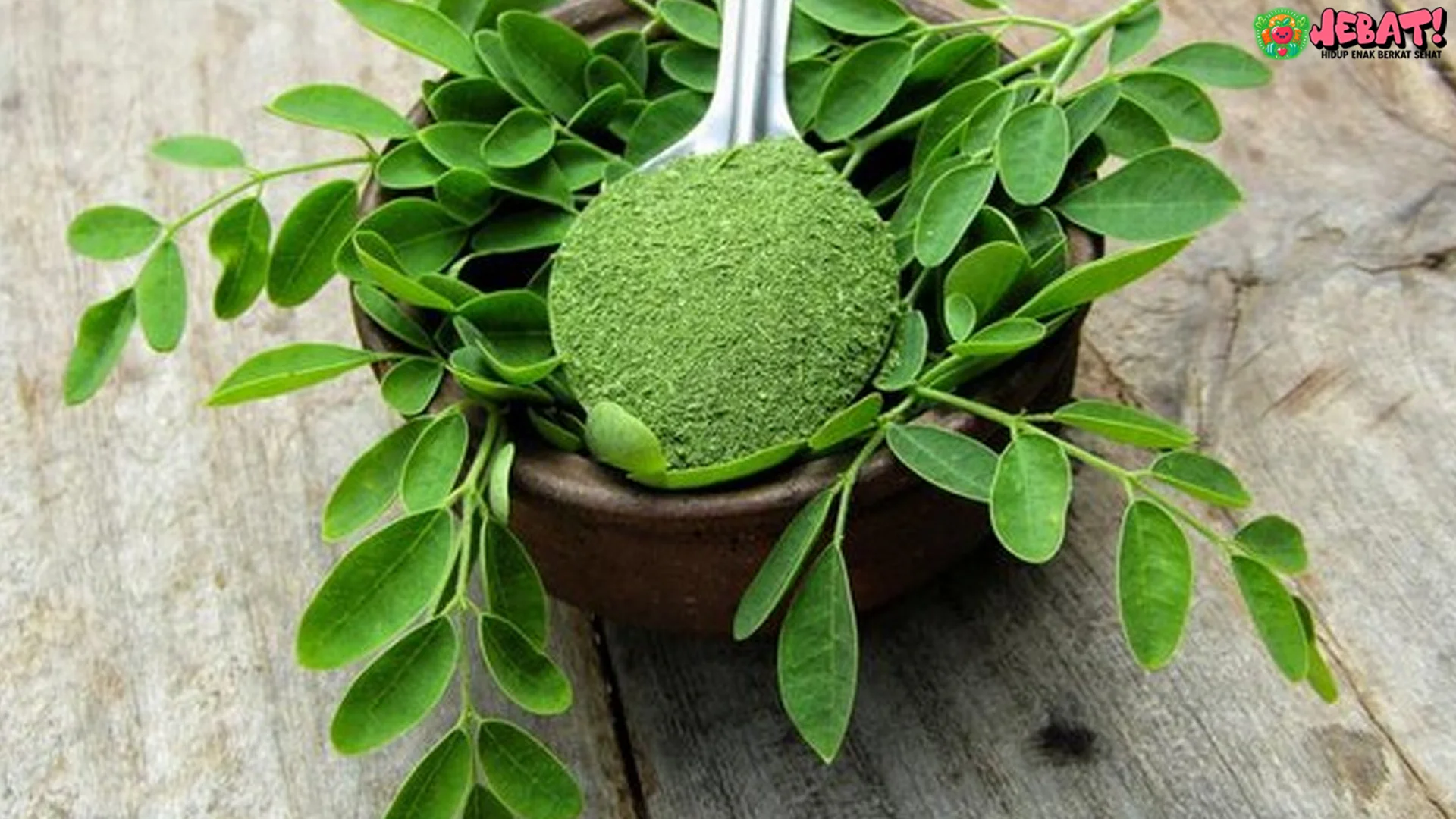 Daun Kelor dan 4 Khasiat Penting untuk Tubuh yang Perlu Dicoba